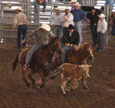 Texas FFA News - 2011 Convention Opportunities